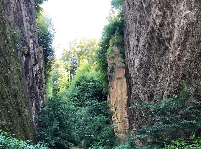 Appartamento Wolfˋs *